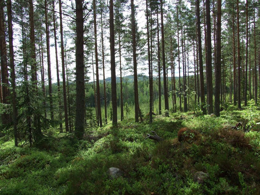 Hovra Vandrarhem Håvra Esterno foto