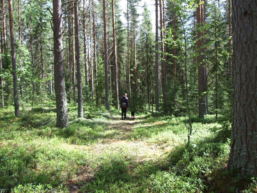 Hovra Vandrarhem Håvra Esterno foto